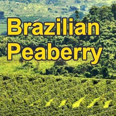 Brazilian Peaberry Dark Roast, 16 oz